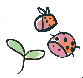 Spot that Pollinator